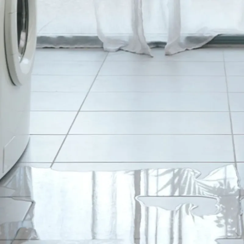 Appliance Leak Cleanup in Paul, ID