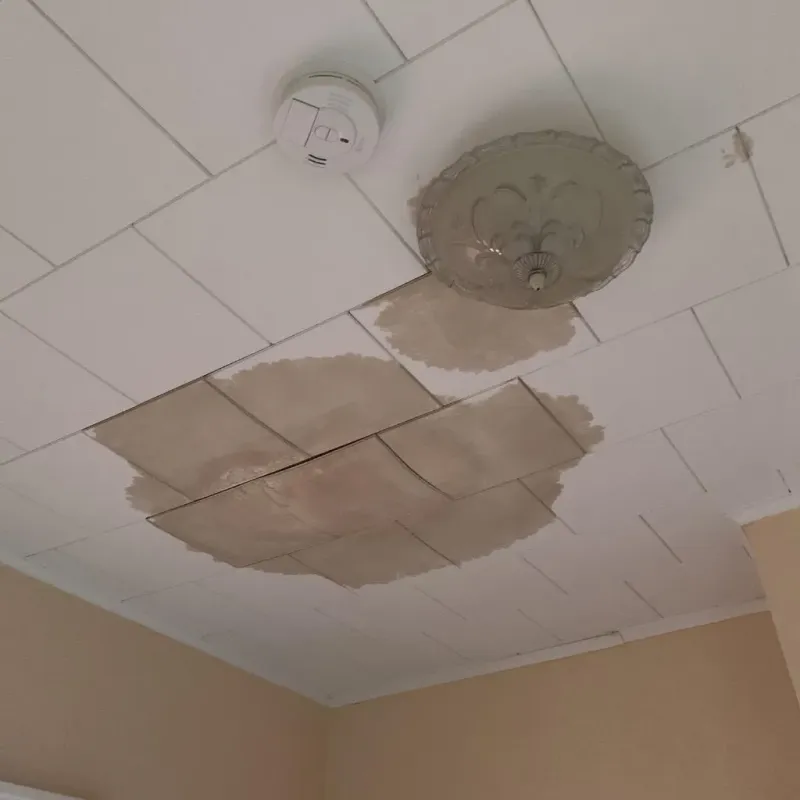 Ceiling Water Damage Repair in Paul, ID