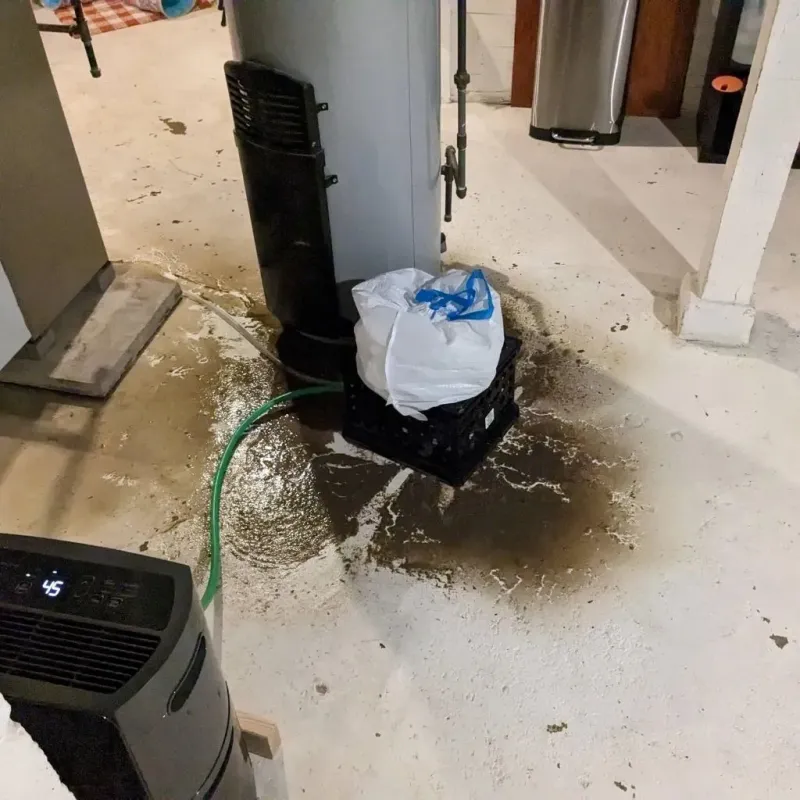 Sewage Backup Cleanup Service in Paul, ID